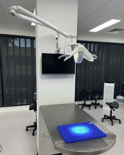 Vægmonteret LED lys, specialdesignet til tandrummet5